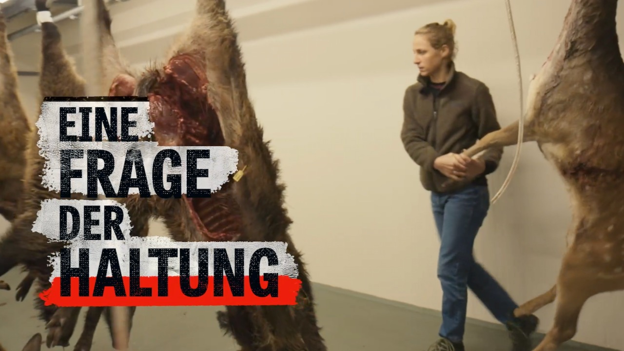 Eine Frage der Haltung